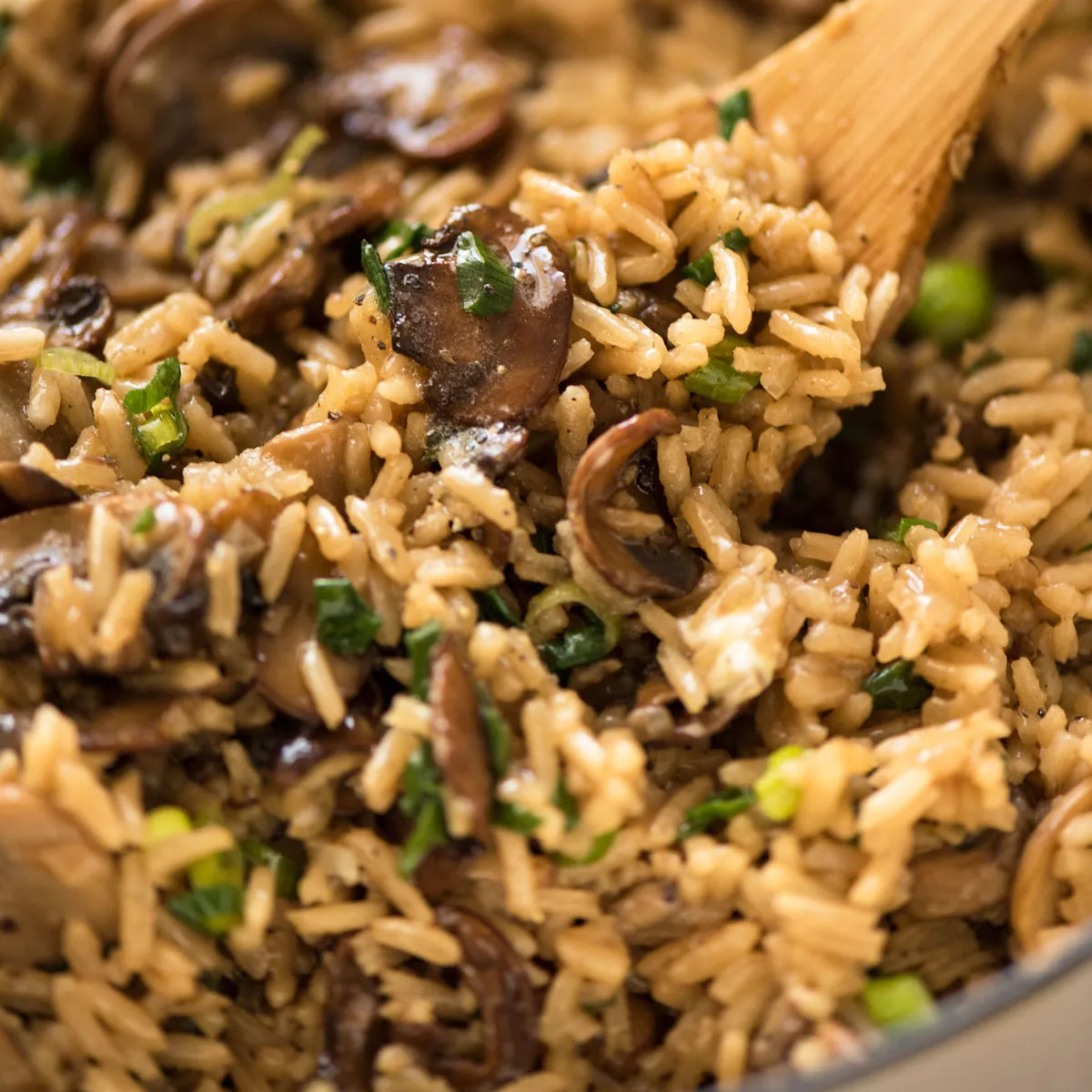 mushroom rice