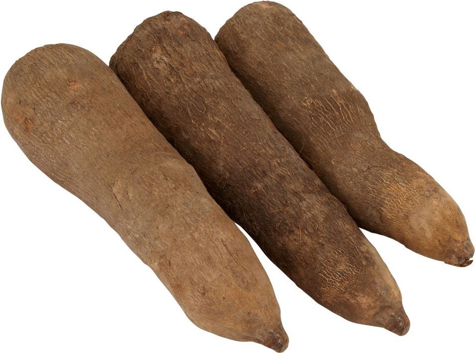 Yam: Everything You Need to Know About This Food